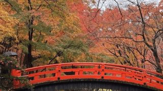 あゆみ会 絵画教室 【横浜教室】