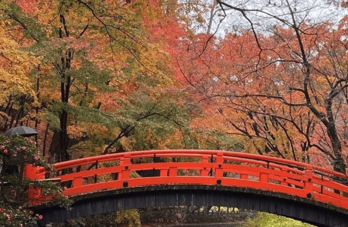 あゆみ会 絵画教室 【横浜教室】