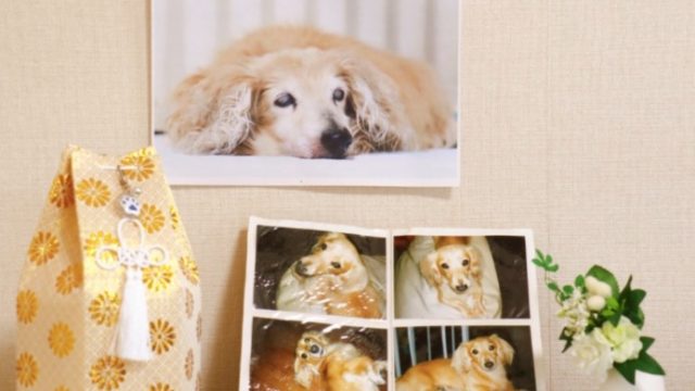 アーバンペット葬儀社 葛飾