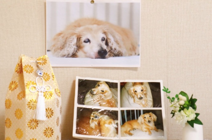 アーバンペット葬儀社 葛飾