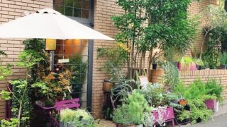 シュマン ヴェール