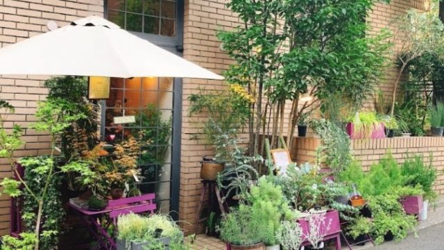 シュマン ヴェール